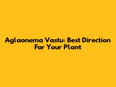 Aglaonema Vastu: Best Direction For Your Plant