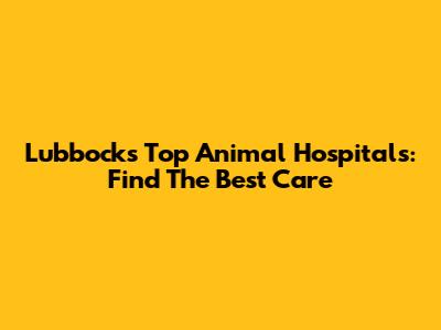 Lubbock's Top Animal Hospitals: Find The Best Care