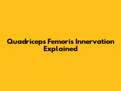 Quadriceps Femoris Innervation Explained