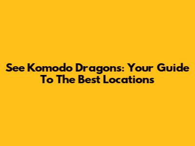 See Komodo Dragons: Your Guide To The Best Locations
