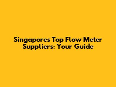 Singapore's Top Flow Meter Suppliers: Your Guide