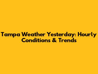 Tampa Weather Yesterday: Hourly Conditions & Trends
